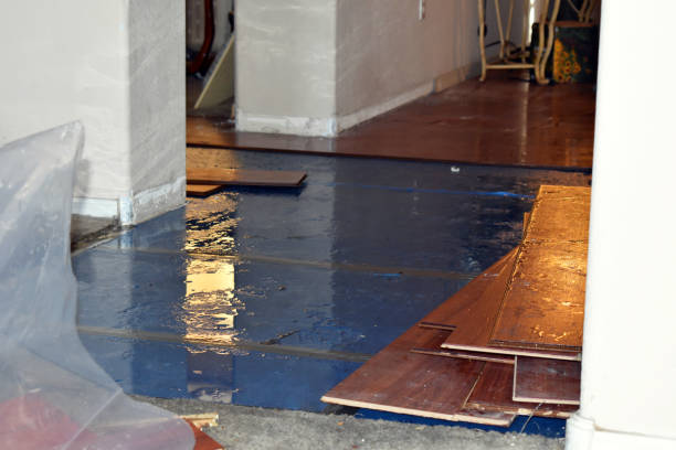 Professional Sewage Cleanup technician working in Harrison, ME